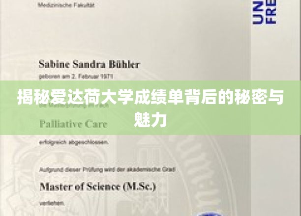 解码爱达荷大学成绩单，探寻学术成就的独到魅力