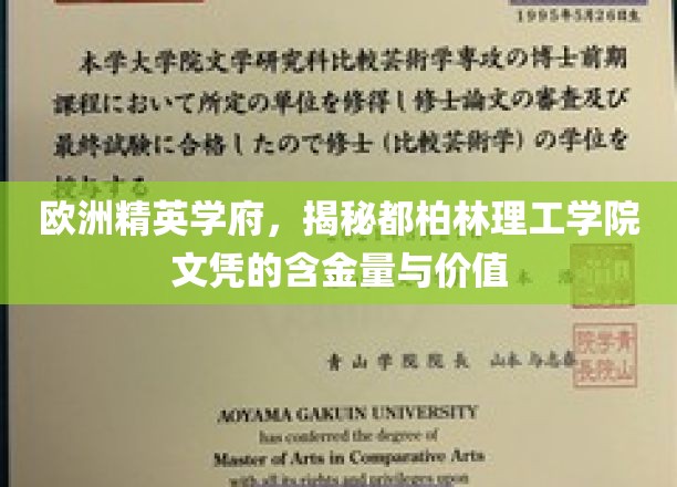 解码爱尔兰顶级学府，都柏林理工学院文凭的全球认可与价值揭秘