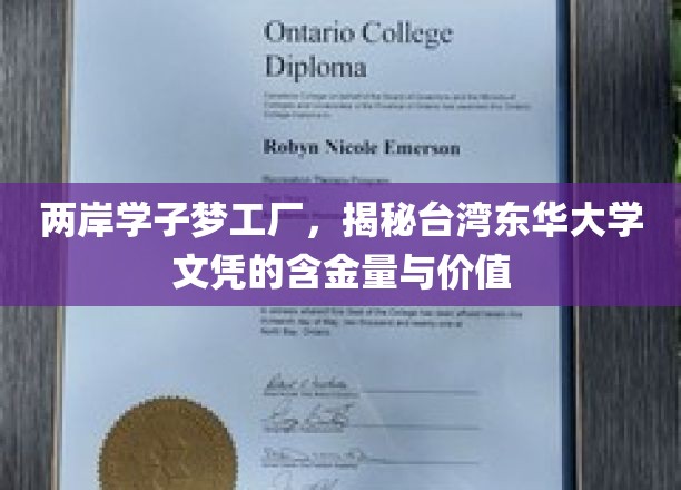 两岸学子梦工厂，揭秘台湾东华大学文凭的含金量与价值