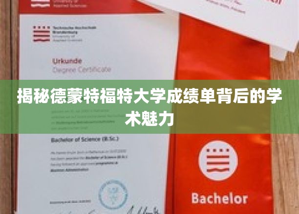 德蒙特福特大学成绩单，探寻学术之美的秘密通道
