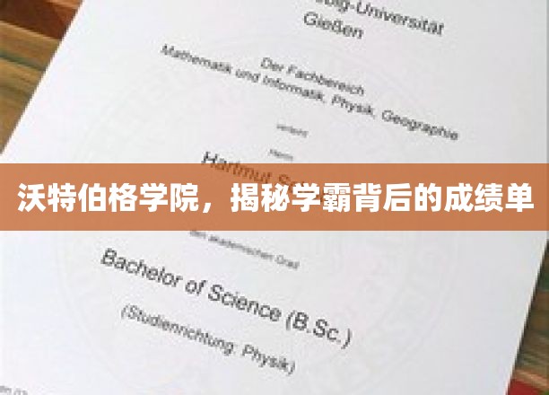 沃特伯格学院，揭秘学霸背后的成绩单