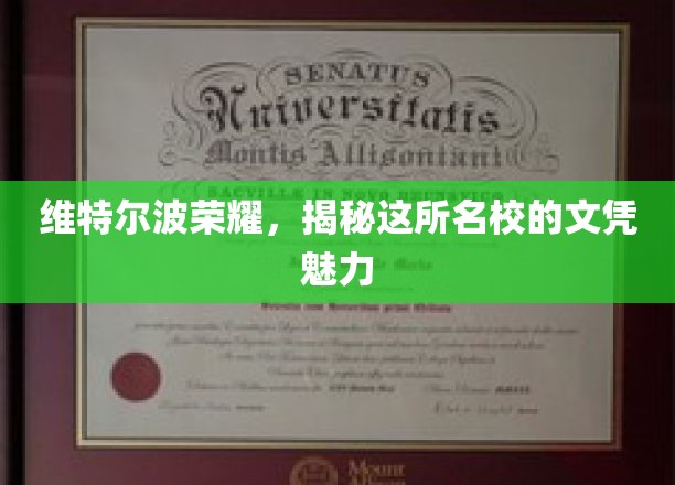探寻维特尔波荣耀，名校文凭背后的独特魅力