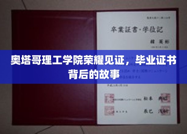 奥塔哥理工学院荣耀时刻，毕业证书背后的非凡历程