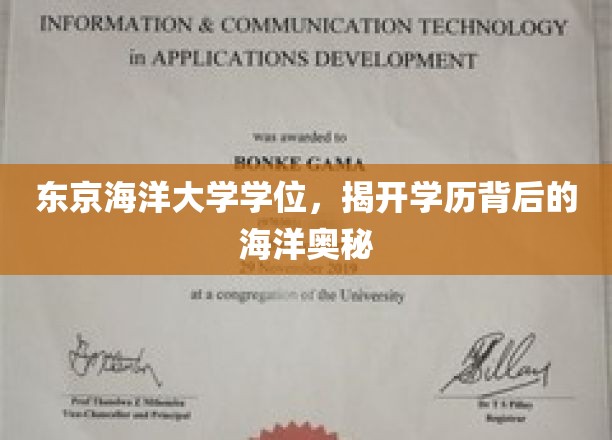 海洋精英养成记，东京海洋大学学位揭秘海洋奥秘之旅