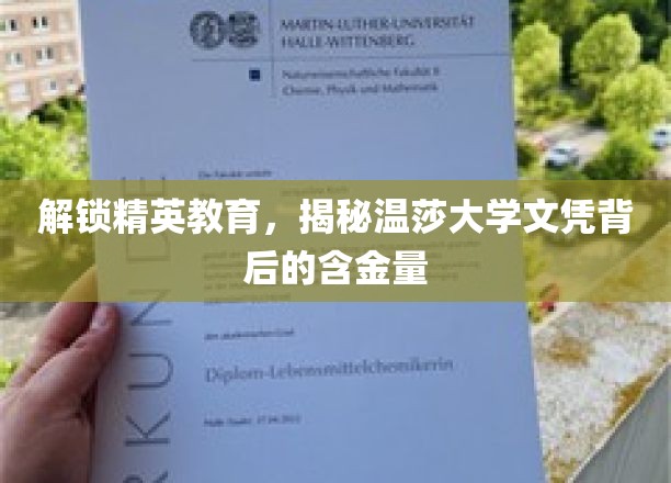 解锁精英教育，揭秘温莎大学文凭背后的含金量
