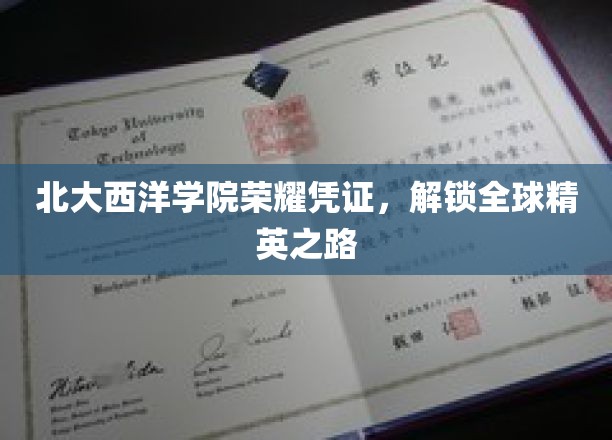 北大西洋学院荣耀证书，开启全球精英之旅