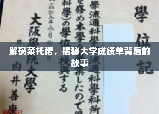 探寻大学成绩单的神秘面纱，莱托诺背后的故事