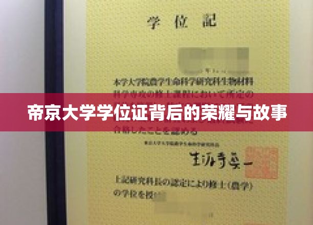 帝京大学学位证，揭开荣耀背后的传奇篇章
