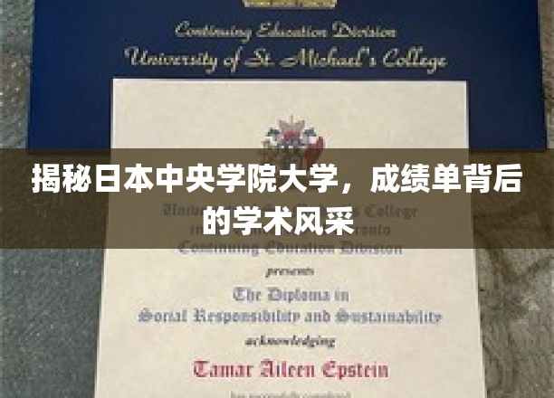 解码中央学院大学，成绩单中的学术魅力面纱