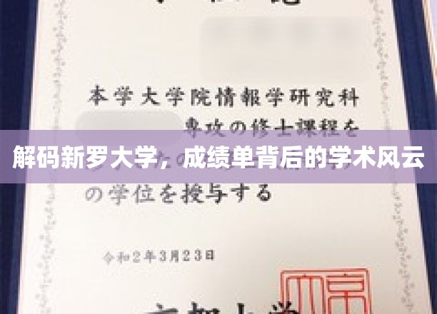 探秘新罗大学，揭秘成绩单背后的学术奥秘