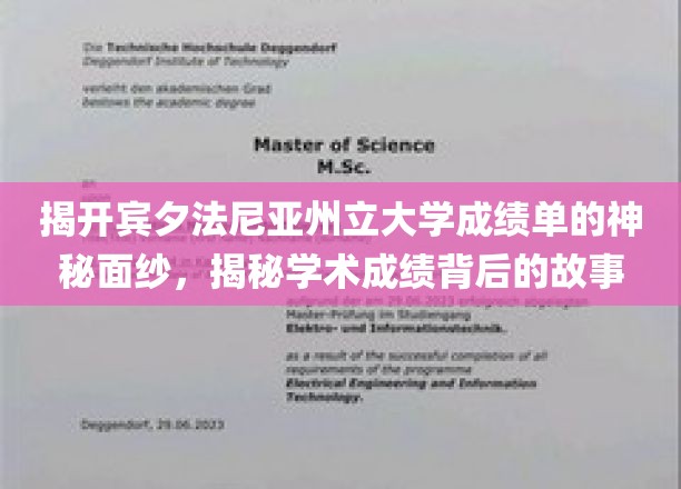 揭开宾夕法尼亚州立大学成绩单的神秘面纱，探寻学术成绩背后的故事