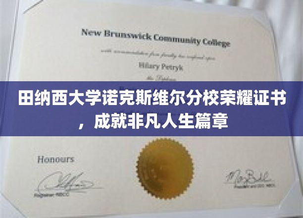 田纳西大学诺克斯维尔分校荣耀证书，开启非凡人生篇章