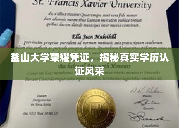釜山大学荣耀证书背后的真实学历认证魅力探秘