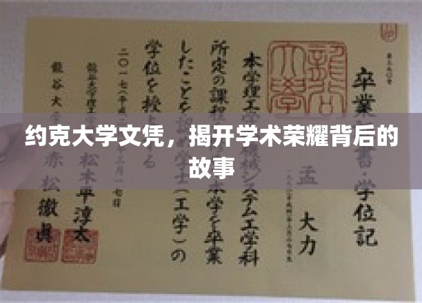 约克大学荣耀背后的真实篇章，文凭背后的故事揭秘