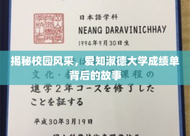 青春足迹，解码爱知淑德大学成绩单背后的青春传奇