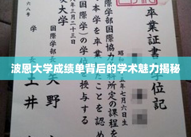 波恩大学成绩单背后的学术魅力揭秘