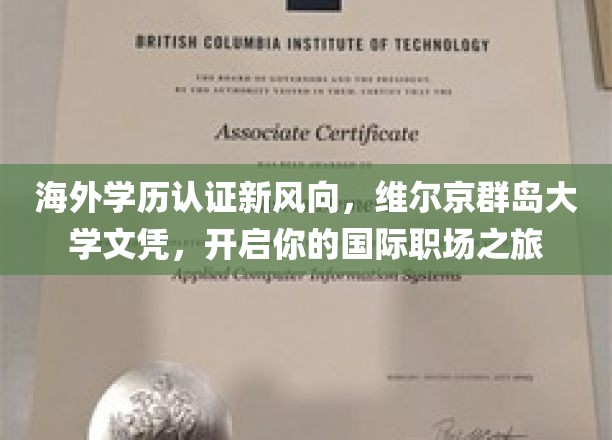 全球职场通行证，维尔京群岛大学学历，助力你扬帆起航国际舞台