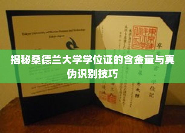 探寻桑德兰大学学位证价值与真假辨识之道