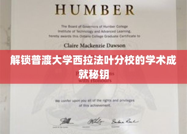 探秘普渡大学西拉法叶分校，揭秘其学术辉煌背后的秘密力量