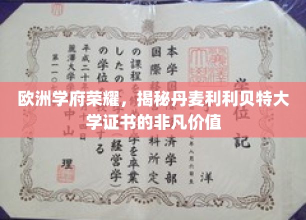丹麦利利贝特大学证书，欧洲教育殿堂的璀璨明珠
