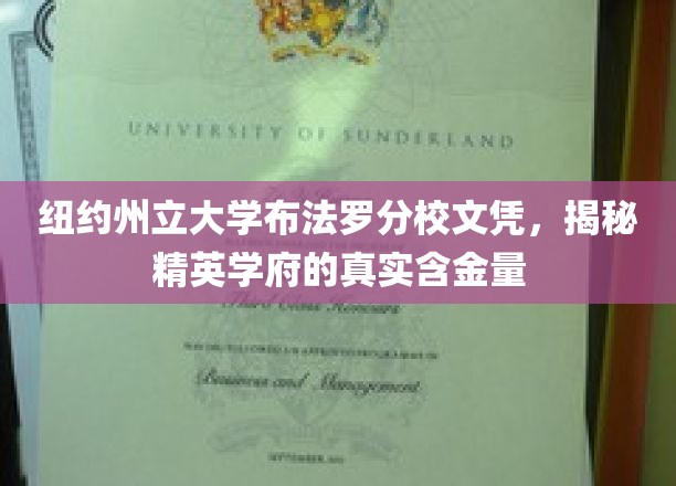 纽约州立大学布法罗分校文凭背后的实力与价值，一场深度解析