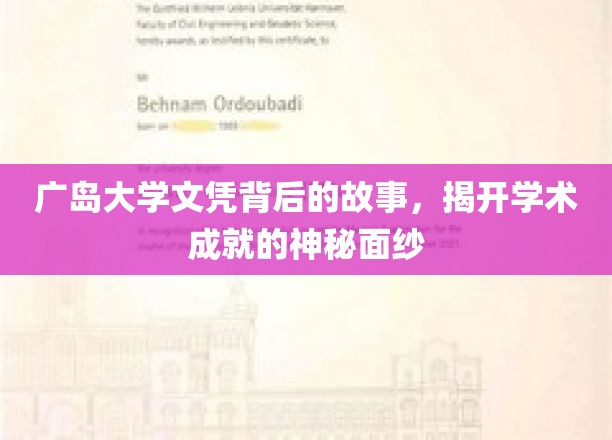 广岛大学文凭背后的传奇，探寻学术成就的璀璨历程