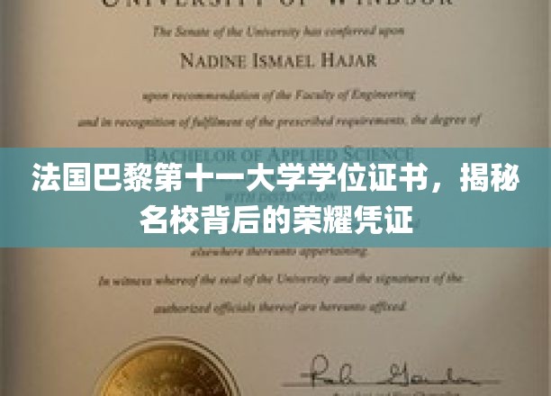 法国巴黎第十一大学学位证书，揭秘名校背后的荣耀凭证