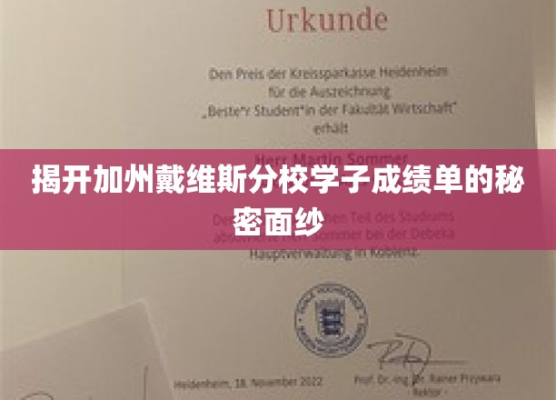 解码戴维斯精英学子成绩单背后的独特奥秘