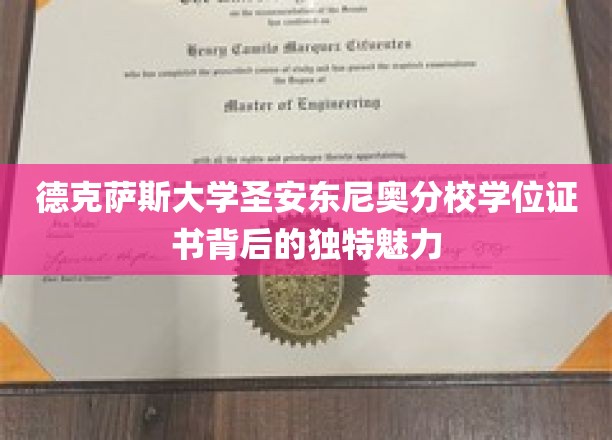 德克萨斯大学圣安东尼奥分校学位证书背后的独特魅力
