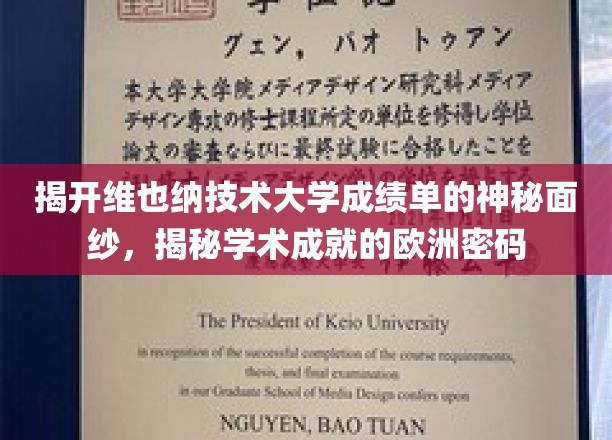 解码维也纳技术大学成绩单，欧洲学术成就的神秘钥匙