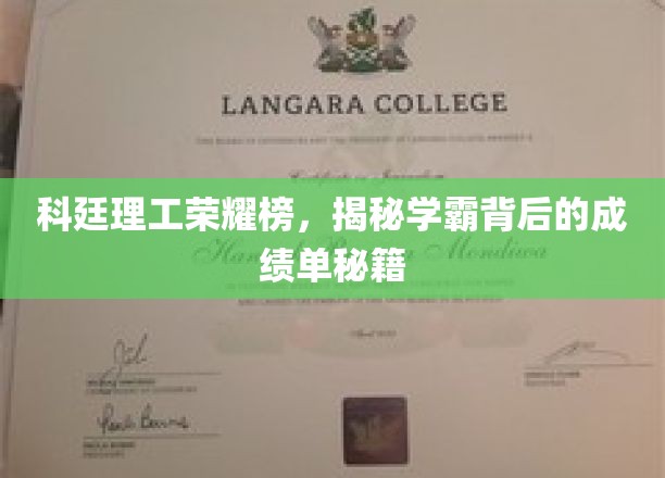 科廷理工荣耀榜，揭秘学霸背后的成绩单秘籍