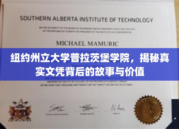 纽约州立大学普拉茨堡学院，揭秘真实文凭背后的故事与价值