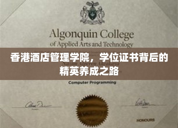 香港酒店管理学院，学位证书背后的精英养成之路