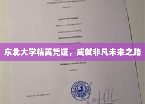 东北大学精英通行证，开启非凡成就的璀璨前程