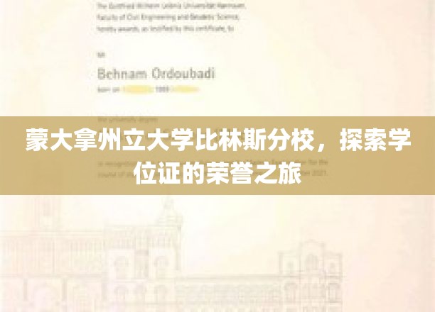 蒙大拿州立大学比林斯分校，探索学位证的荣誉之旅