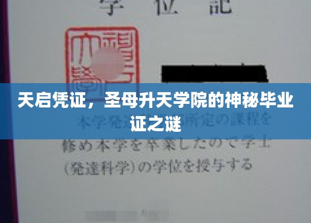 揭开天启凭证，圣母升天学院神秘毕业证的神秘面纱