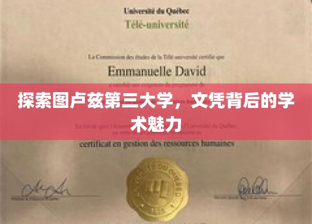 解码图卢兹三大的学术光环，文凭背后的非凡之旅