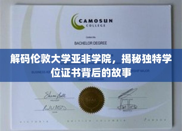 解码伦敦大学亚非学院，揭秘独特学位证书背后的故事