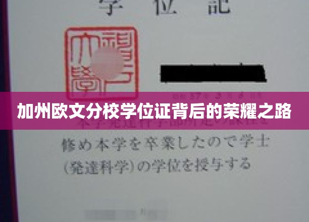 探寻加州欧文分校学位证背后的璀璨荣耀之旅