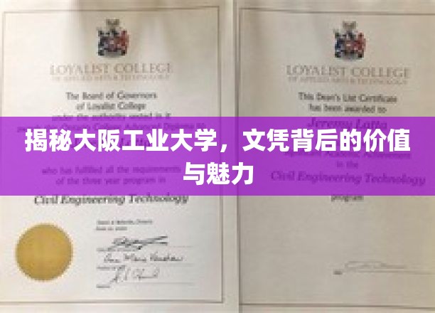 探寻大阪工业大学，文凭背后的非凡价值与独特魅力