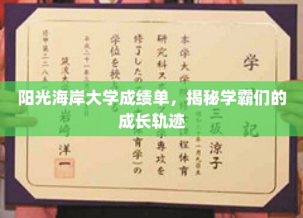 学霸养成记，阳光海岸大学成绩单背后的成长足迹