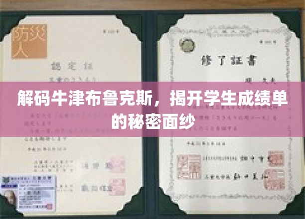 探寻牛津布鲁克斯的隐藏成就，揭秘成绩单背后的故事