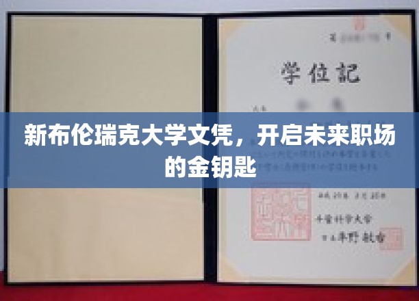 掌握未来职场之门的新布伦瑞克大学荣耀文凭