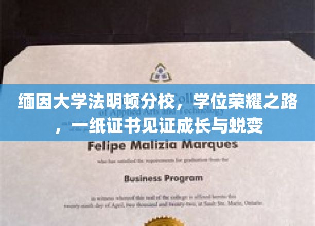 缅因大学法明顿分校，学位荣耀之路，一纸证书见证成长与蜕变