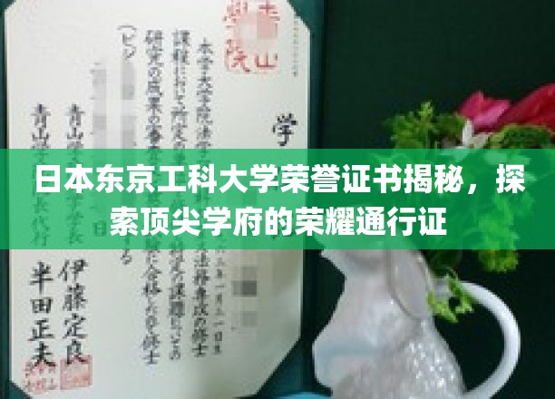 日本东京工科大学荣誉证书揭秘，探寻顶尖学府的荣耀通行证