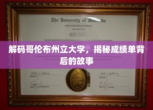 解码哥伦布州立大学，揭秘成绩单背后的故事