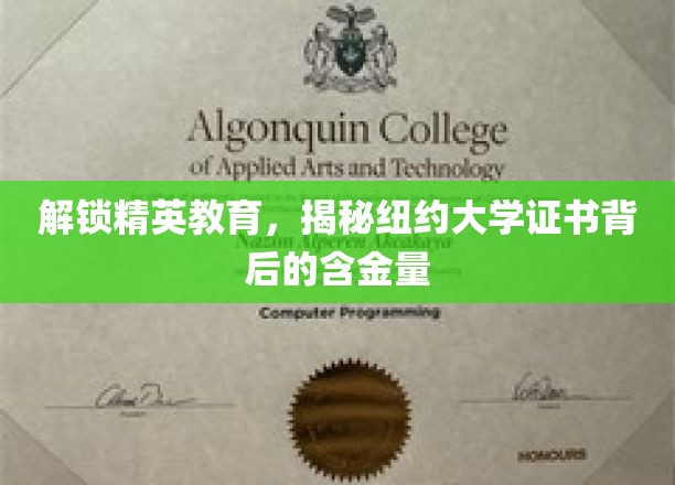 解锁精英教育，揭秘纽约大学证书背后的含金量