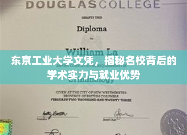 解码东京工业大学，文凭背后的学术魅力与职场通行证