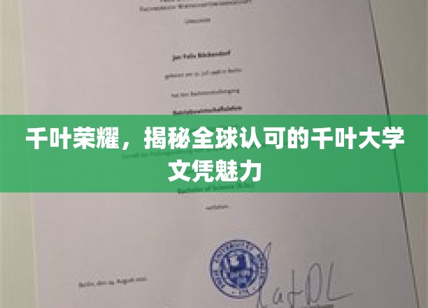 千叶大学的荣耀：全球公认的千叶大学学历的魅力