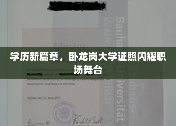 卧龙岗大学学历新风采，职场舞台星光熠熠